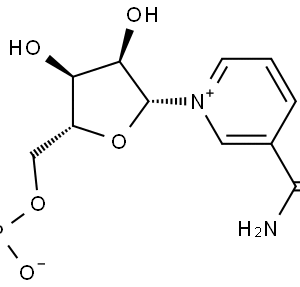β-煙醯胺單核苷酸 （NMN）